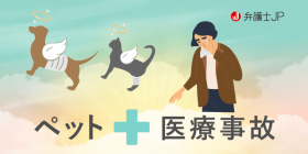 ペットの医療事故（医療過誤）にはどのような対応がとれる？