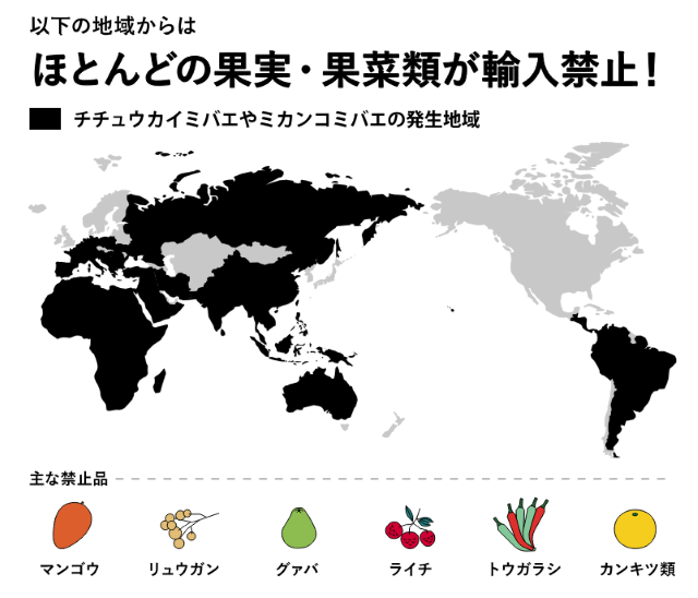 「病害虫」発生地域と輸入が禁止されている植物の一部（植物防疫所リーフレット「海外から植物を持ち込む場合の植物検疫のお知らせ」より）