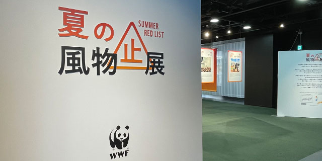 甲子園、ビアガーデン、夏野菜…猛暑で「夏の風物詩」消滅の未来図も？　WWFジャパンが東京・渋谷で企画展