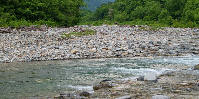 水辺では毎年同じような事故が発生している（hiroshi / PIXTA）