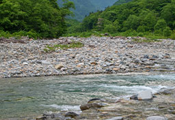 海・川・湖で「助けに行った大人」溺れる事故が相次ぐ…「水に飛び込むのは最終手段」専門家が断言する理由