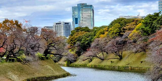 ふるさと納税制度「廃止を含めた見直し」東京23区が訴えるも…“参戦”決めた「千代田区」の思惑と勝算は？