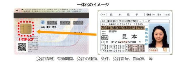 「マイナ免許証」24日開始　一本化“必須”ではないが…切り替え検討の「判断基準」とは？