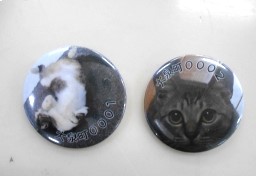 「マイニャンバー制度」群馬・大泉町の試みが“愛猫家”に話題沸騰　「これほど注目されるとは…」担当者が“導入の裏側”を明かす
