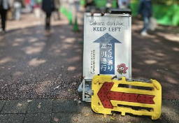 花見シーズン到来、経済効果「約1兆3878億円」のウラで“マナー違反”警戒強まる…思わぬ「違法行為」しないためには