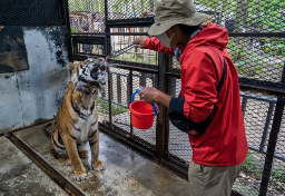 「日本一危険な動物園」閉園は“コンプライアンス欠如”が原因か…専門家が指摘する運営“姿勢”の問題点