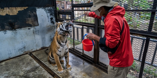 「日本一危険な動物園」閉園は“コンプライアンス欠如”が原因か…専門家が指摘する運営“姿勢”の問題点