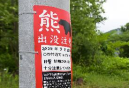 クマ、イノシシ、シカ…市街地に出没頻発の原因が“森林破壊”ではない！？　野生鳥獣「生活圏侵入」への“抜本的対策”に不可欠な視点