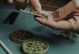 「大麻」はどう世界に広がった？“視覚と味覚の解像度が上がったような感覚”2500年前に焚かれていた形跡も…