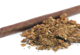 薬局店が「大麻タバコ」を“売り出し商品”に！？　「喘息に最も効果」明治期の大手新聞に“大麻”広告が掲載された背景