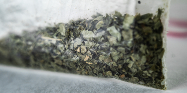 なぜ今“大麻”なのか？　「ダメ。ゼッタイ。」四半世紀にわたる訴えも空しく…摘発“急増”の背景にある“意外な理由”【専門家が分析】