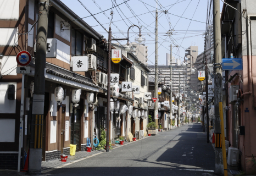 大阪・飛田新地“料亭”はどんな人が経営している？　新規参入が増加した“意外な”職業