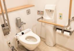 日本のトイレは“高機能すぎて”使いづらい？　視覚障害者の“本音”に見る「合理的配慮」の落とし穴