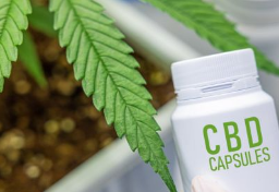 サントリー新浪会長「CBD」なぜ捜査対象に？　「大麻」と違い“合法”のはずが…見落とされがちな“落とし穴”とは