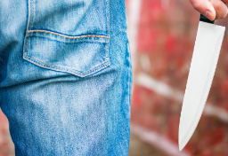 「殺害」を決めてなお決まらぬ覚悟…殺人への“最終段階”で犯人を「もはやこれまで」と動かすものとは