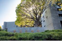 「永住者でも生活保護の法的権利なし」最高裁判決が残した“課題”…自治体の「裁量」頼みで生じる“外国人保護”の限界とは【行政書士解説】