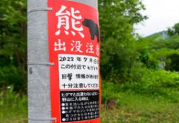 警察官のライフルによる“クマ駆除”スタートも…「銃器部隊でも訓練しないとムリ」元警官が憂慮する「理由」とは