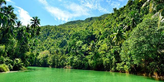 戦後29年間ジャングルに潜伏、“日本兵”小野田寛郎少尉は戸籍上で「二度」死んでいた…“遺体なき戦死”どう認定？　「戦死公報」知られざる仕組み