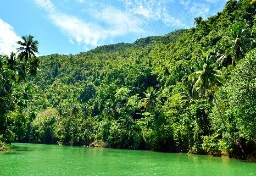 戦後29年間ジャングルに潜伏、“日本兵”小野田寛郎少尉は戸籍上で「二度」死んでいた…“遺体なき戦死”どう認定？　「戦死公報」知られざる仕組み