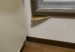 実は「月々の賃料」に含まれている？　賃貸トラブルの4割を占める「原状回復」知らないと“払い損”になる修繕費の境界線