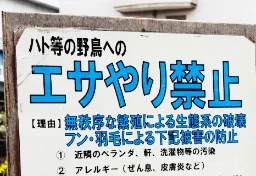 ハトへの迷惑エサやりで“全国初”書類送検「個人が警察に訴えても、すぐに動いてもらうのは難しい」…弁護士が指摘する“立件ハードル”