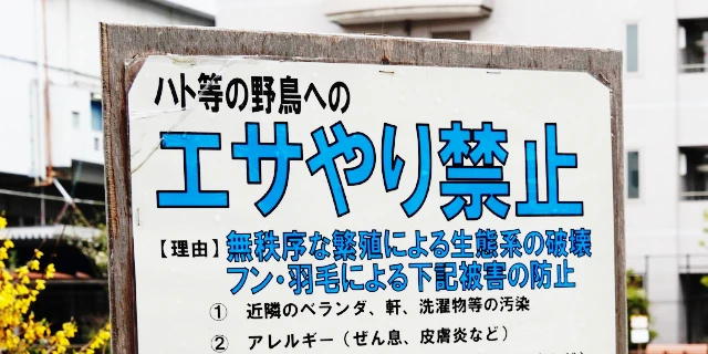 ハトへの迷惑エサやりで“全国初”書類送検「個人が警察に訴えても、すぐに動いてもらうのは難しい」…弁護士が指摘する“立件ハードル”