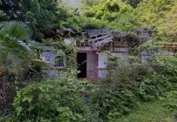 “霊視商法”で120億円超を集金、代表者は実刑判決…解散命令を受けた「明覚寺」が“忘れられた”理由