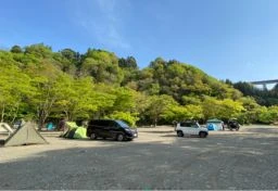 キャンプ中に倒木がテント直撃、女性死亡　事故から3年後に“施設管理者”書類送検…“自然の中での事故”に「業務上過失」が問われた理由【弁護士解説】