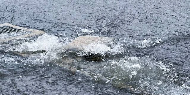 千葉の大雨、死者8人に…被災者の“医療費免除”と“最大850万円の支給”を医師団体が国に緊急要望