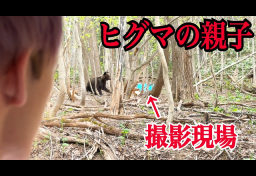 YouTuber北海道で「ヒグマ」誘引か…危険な「餌付け」近隣住民から“賠償請求”の可能性は？